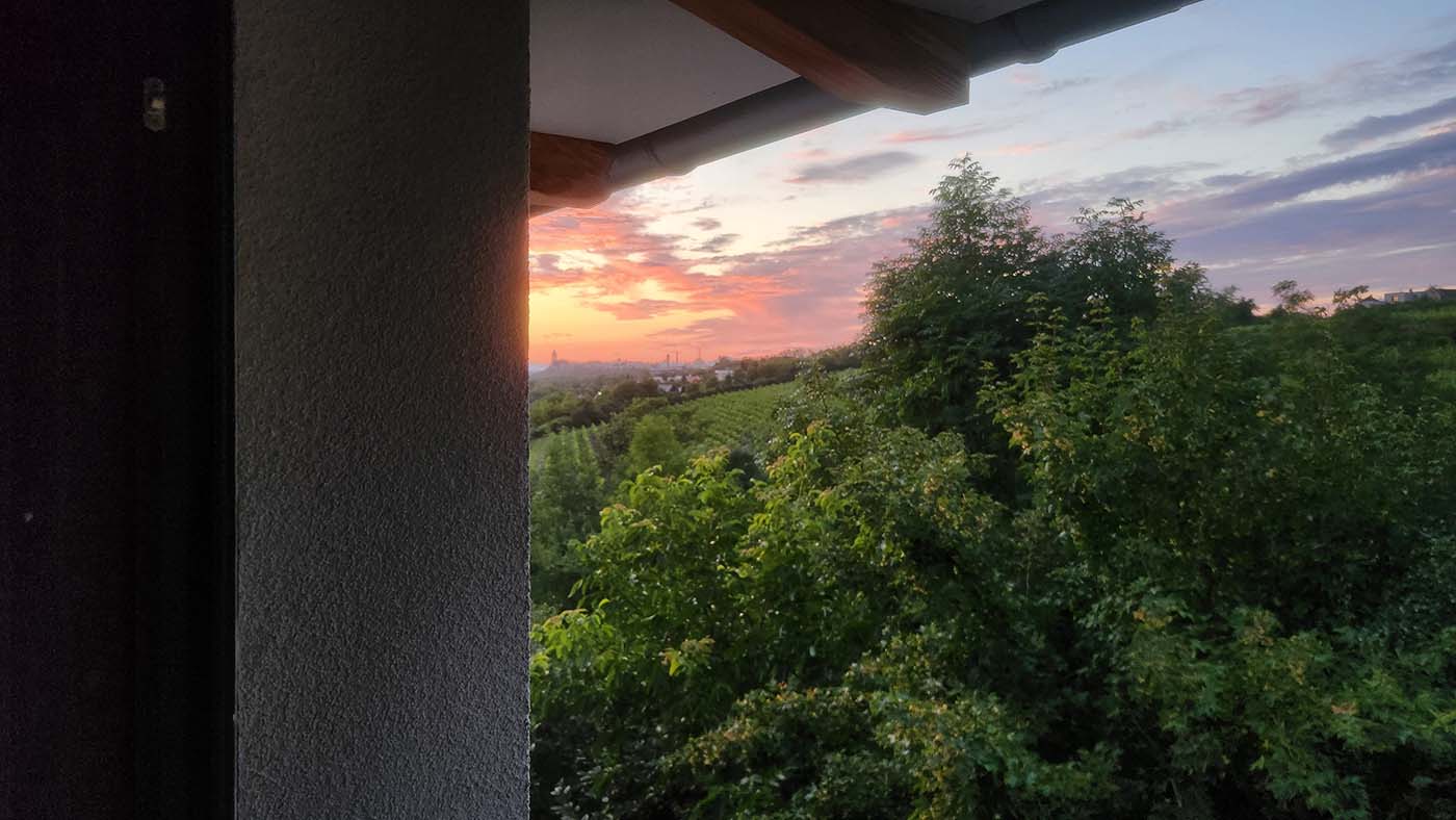 Večerní výhled z domu Pinot Noir